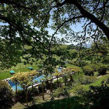 Montauto Suites Chianciano Terme Εξωτερικό φωτογραφία