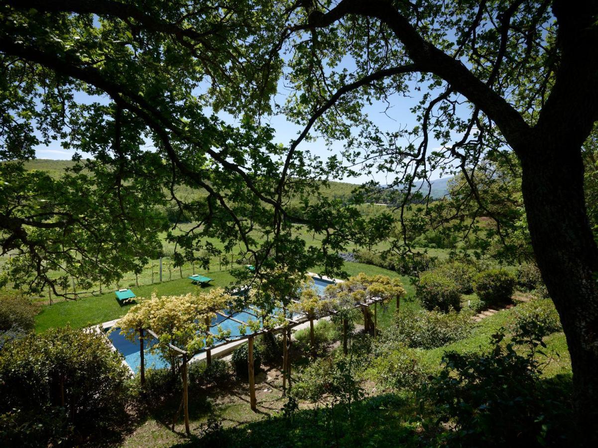 Montauto Suites Chianciano Terme Εξωτερικό φωτογραφία